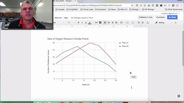 How to Make a Line Graph Using Google Sheets