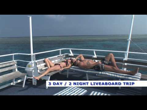 Pro Dive Cairns 3 Day 2 Night Liveaboard Dive Trip.mov