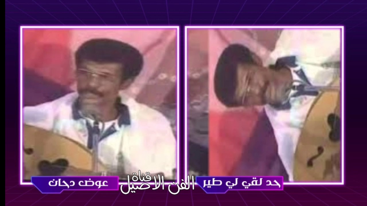 عوض دحان حد لقي لي طير