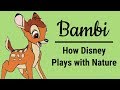 Bambi: How Disney Plays with Nature | Big Joel