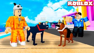 Yeni Suçlu Köpeği Geldi!! Acayip Güçlü  Panda ile Roblox Mad City