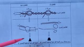 حل التمرين 1 من مجلة النجاح للأستاذ بوالريش حول تركيب البروتين (تمرين باك 2018 شعبة رياضيات)