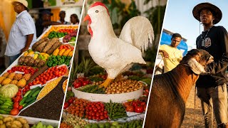Denbigh Agricultural Show 2026 FINAL DAY | Tour of the Caribbean's Biggest Agricultural Festival