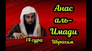 14 сура  Ибрахим Анас Аль Имади