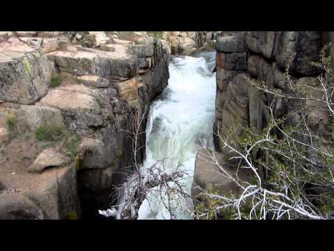 Walker Creek (?) near Sonora Pass