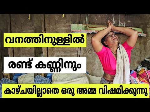 രണ്ട് കണ്ണിനും കാഴ്ചയില്ലാത്ത അമ്മ കട്ടിൽ ഒറ്റയ്ക്ക്.. 