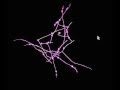 network of neurons