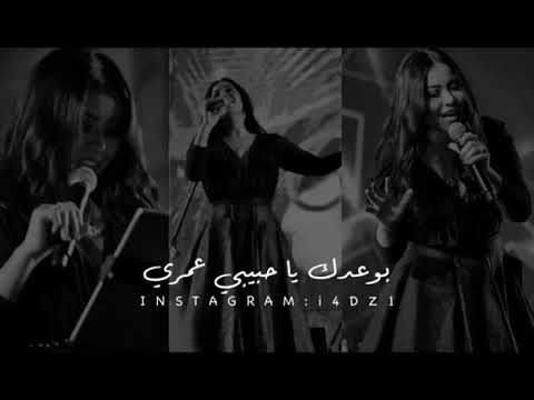 شيرين كلى ملكك