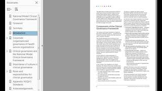 Clinical Governance Framework   walk through