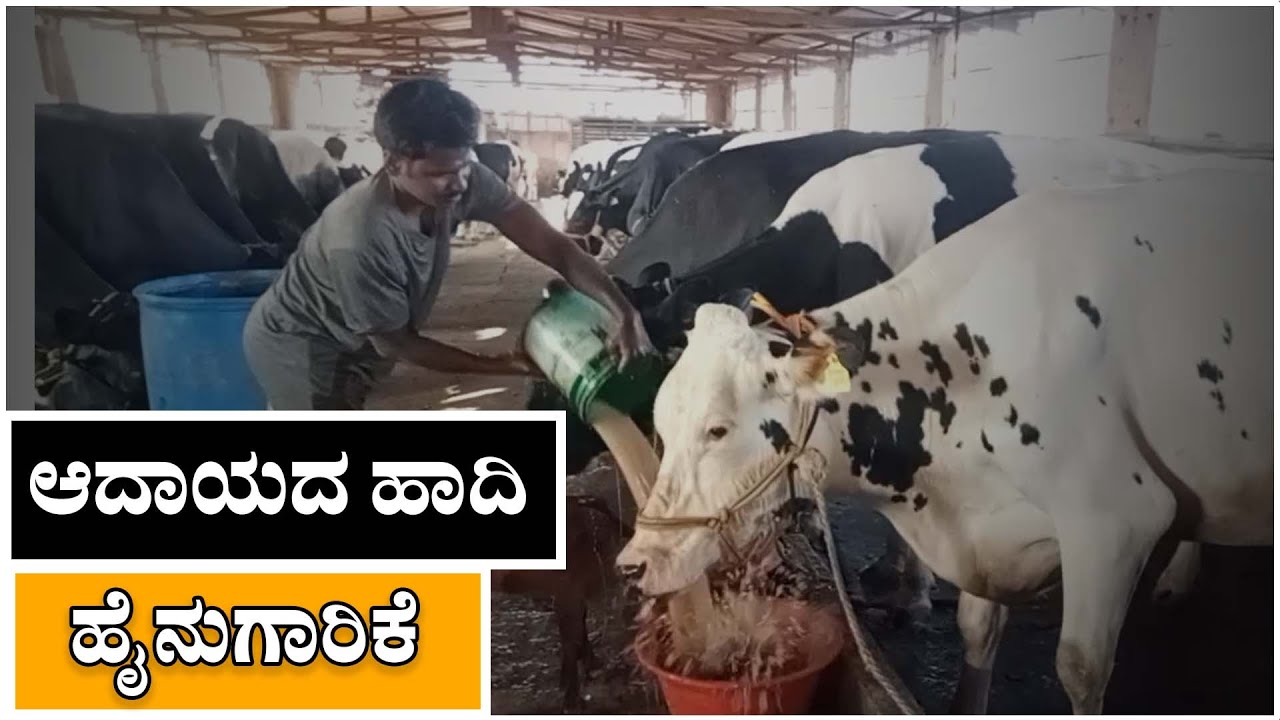 ಲಕ್ಷ ಲಕ್ಷ ಆದಾಯಕ್ಕೆ ಹೈನುಗಾರಿಕೆ ಹಾದಿ | Chikkaballapur Dairy farmer's achievement