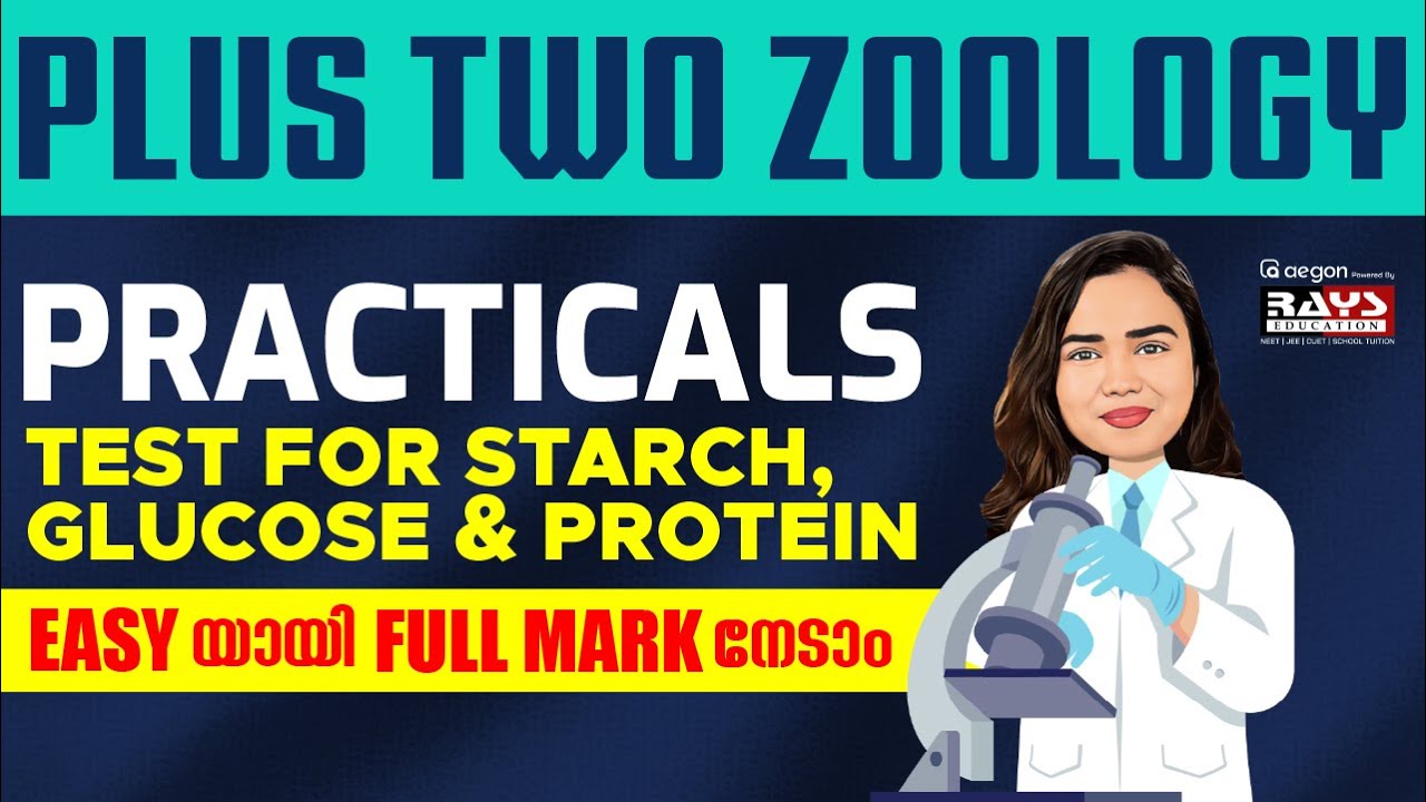 ZOOLOGY PRACTICALS | PLUS TWO BIOLOGY MODEL, PUBLIC EXAMS- TEST FOR STARCH, GLUCOSE & PROTEIN | RAYS