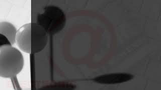 Devry Final Exam HIST 417  Latest