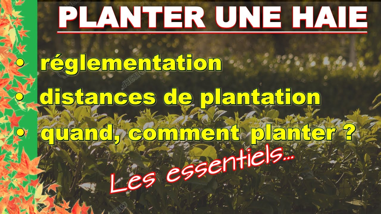 Réglementation Pour Planter Une Haie – WTSITB