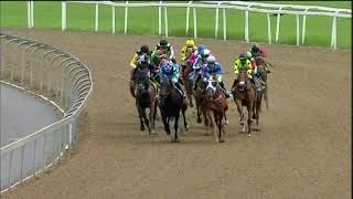 Vidéo de la course PMU PRIX CALL TELEBET TRACK & BALL FIXED ODDS ON 031 314 1155 MAIDEN PLATE