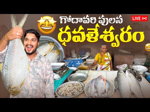 Dhavaleswaram Fish Market 😱 Godavari Fish Market Full Tour of Andhra’s Biggest Fresh Market