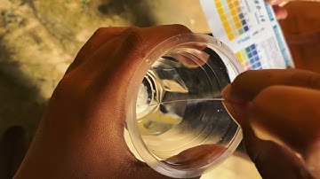 Tugas kolaborasi #ipas#bahasaindonesia#informatika#x tjkt 2