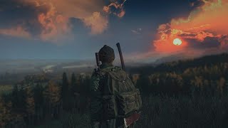 Просто Dayz официалка.