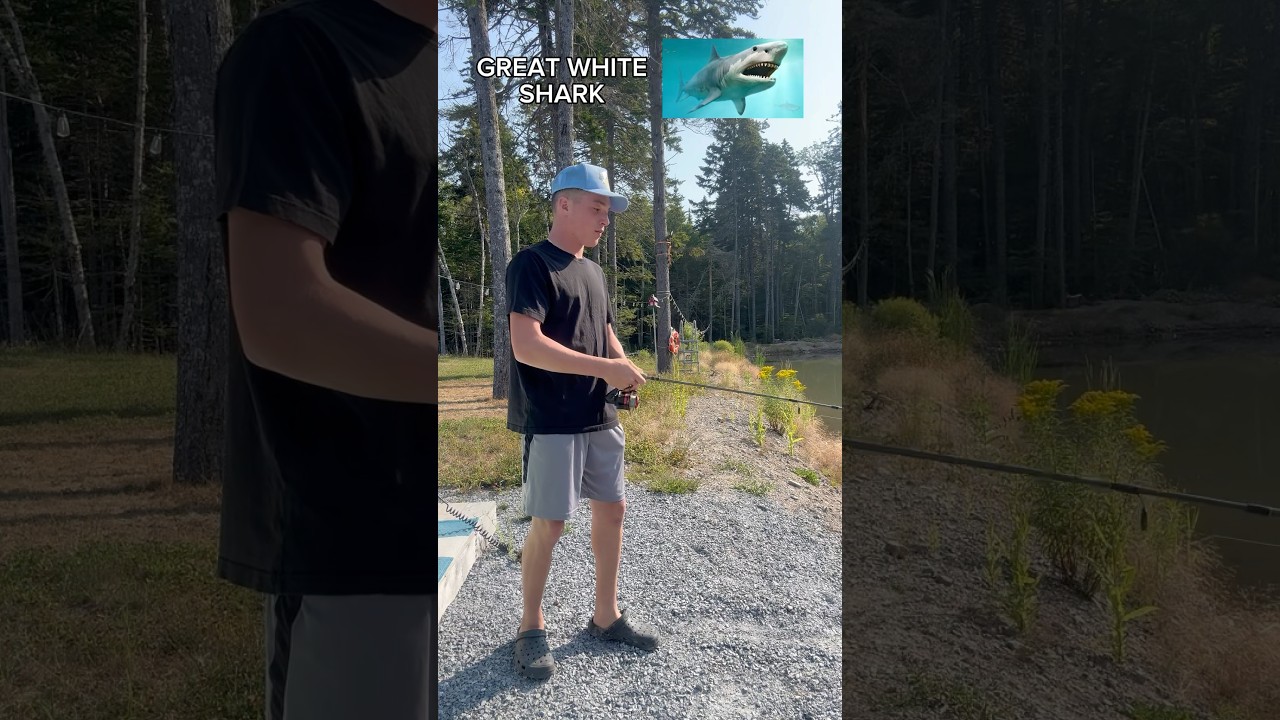 How Fish Bite According to their Size!  #fishing #fish #funny #outdoors