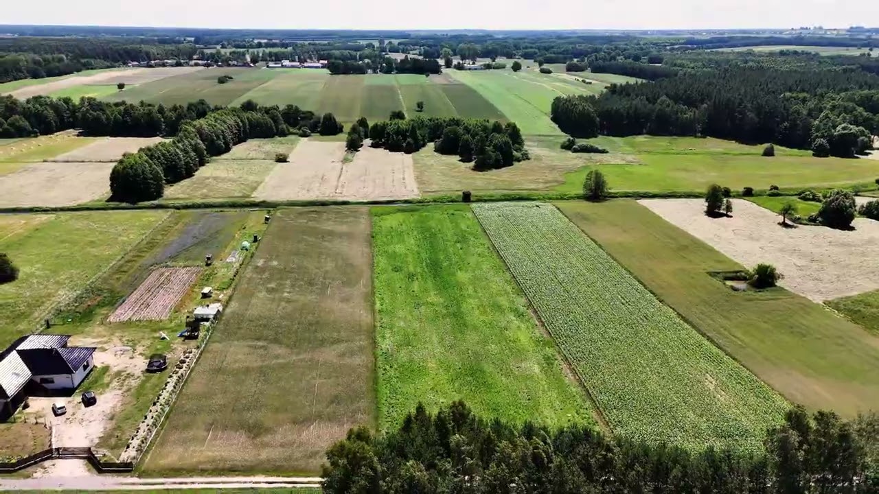 7,400 m² of peace and quiet. Build your own - Plot - Sale - Radomski, Iłża / Jedlanka Stara