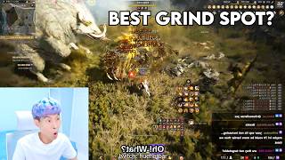 BEST GRIND SPOT 2027 Black Desert Highlights