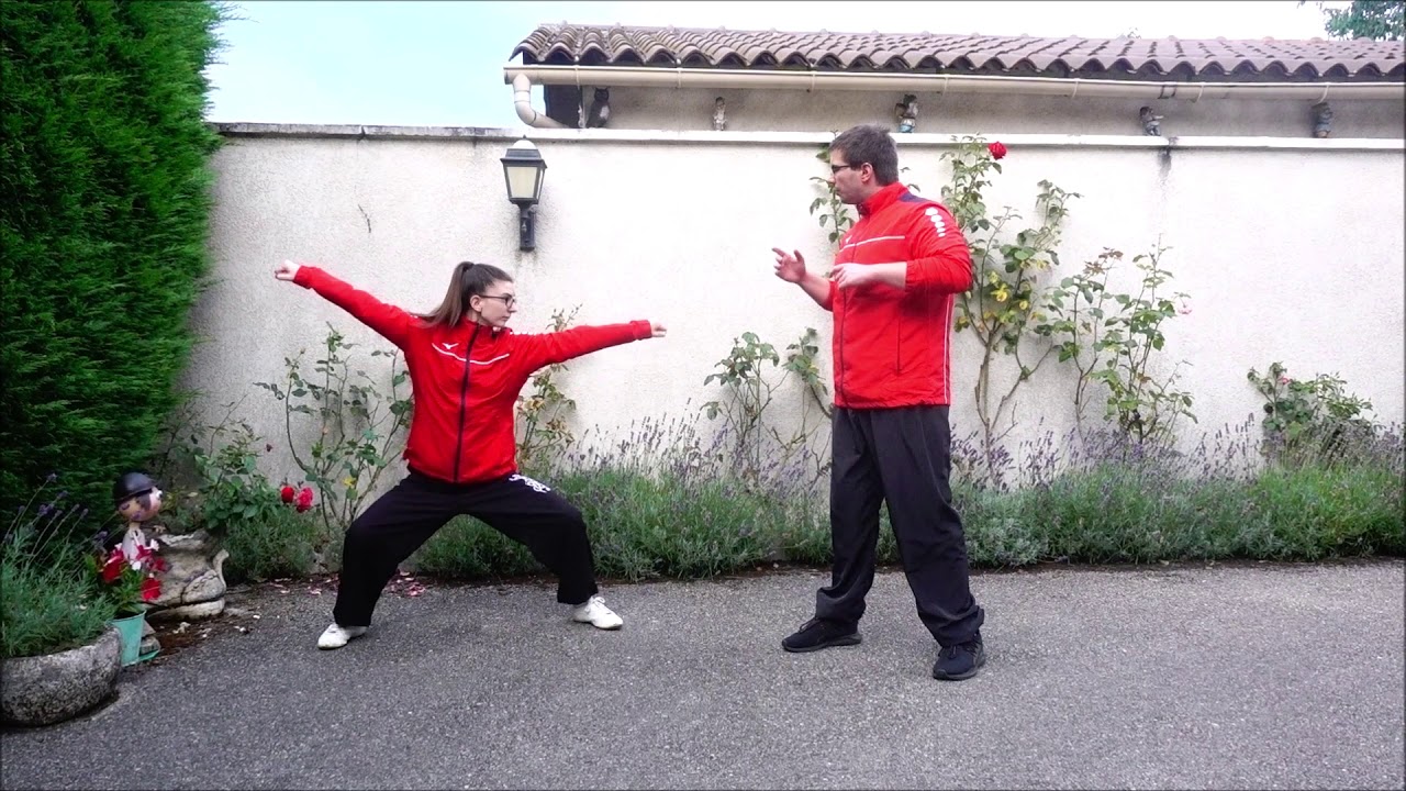 Les 18 Ji Ben Gong #1: Ma Bu Dan Bian (马步单鞭)