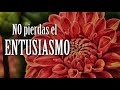 NO Pierdas EL ENTUSIASMO Por La VIDA - Motivación Para el Alma