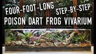 MY LARGEST VIVARIUM YET! Bringing COSTA RICA to my LIVING ROOM!