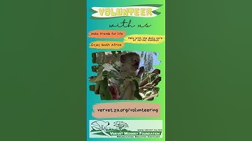 Sluit je aan bij onze missie: word een VMF-vrijwilliger en verander levens!