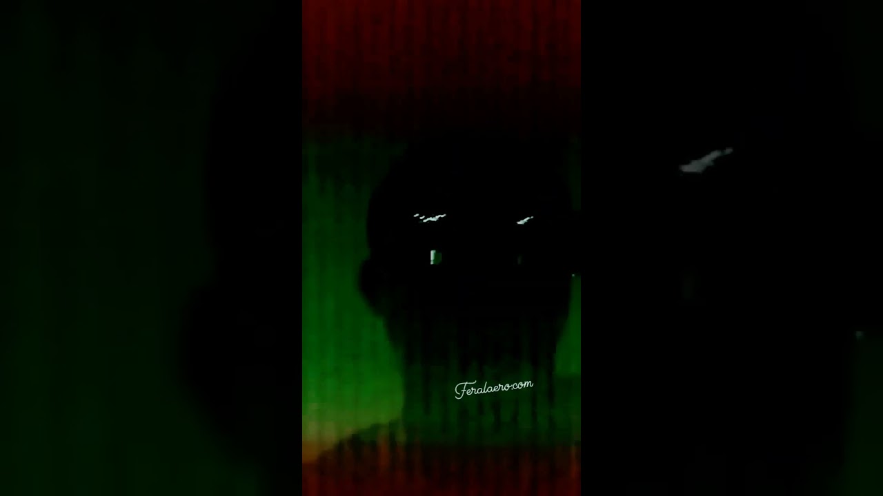 😎🎵🎶🎵 Use this on your next 