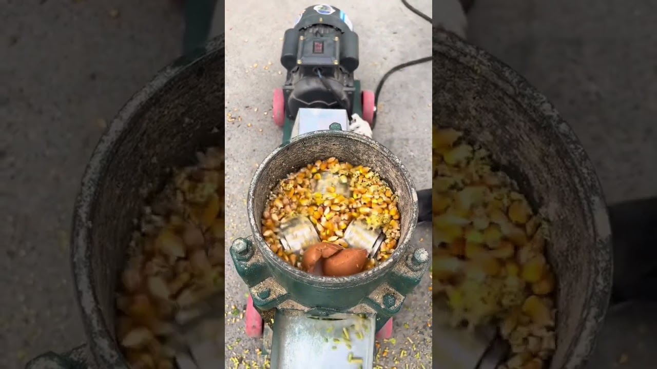 Poultry feed pellet making process chicken feed making machine