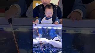 Annoying Duck  viralshort funnyanimal cuteducks