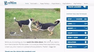 Doggy Dans Online Dog Trainer Review And Members Area