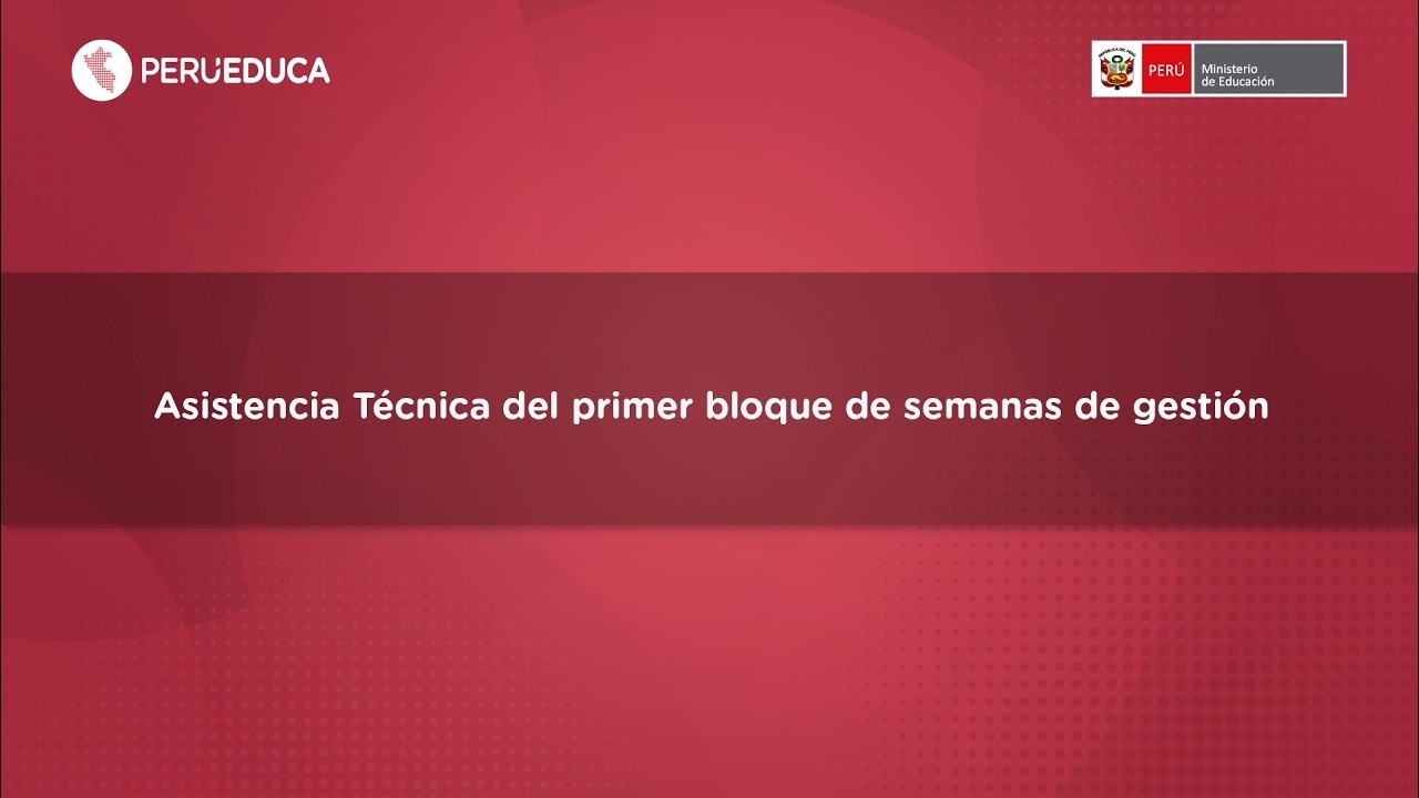 Asistencia técnica para equipos de trabajo colegiado - I bloque de semanas de gestión