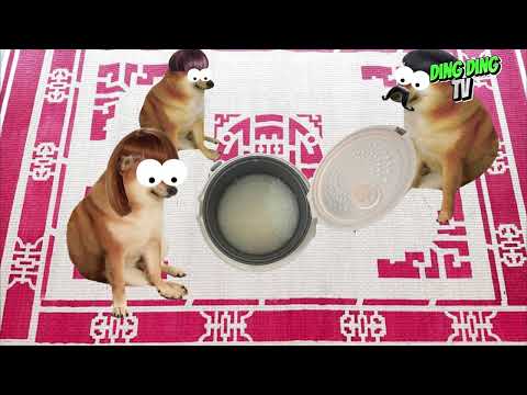 TUYẾN TẬP NHẠC