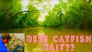 WHY do CATFISH Love THIS Bait? San Antonio, Texas 23'