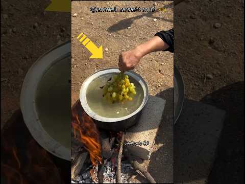 كيف تصنع الزبيب من عنقود العنب