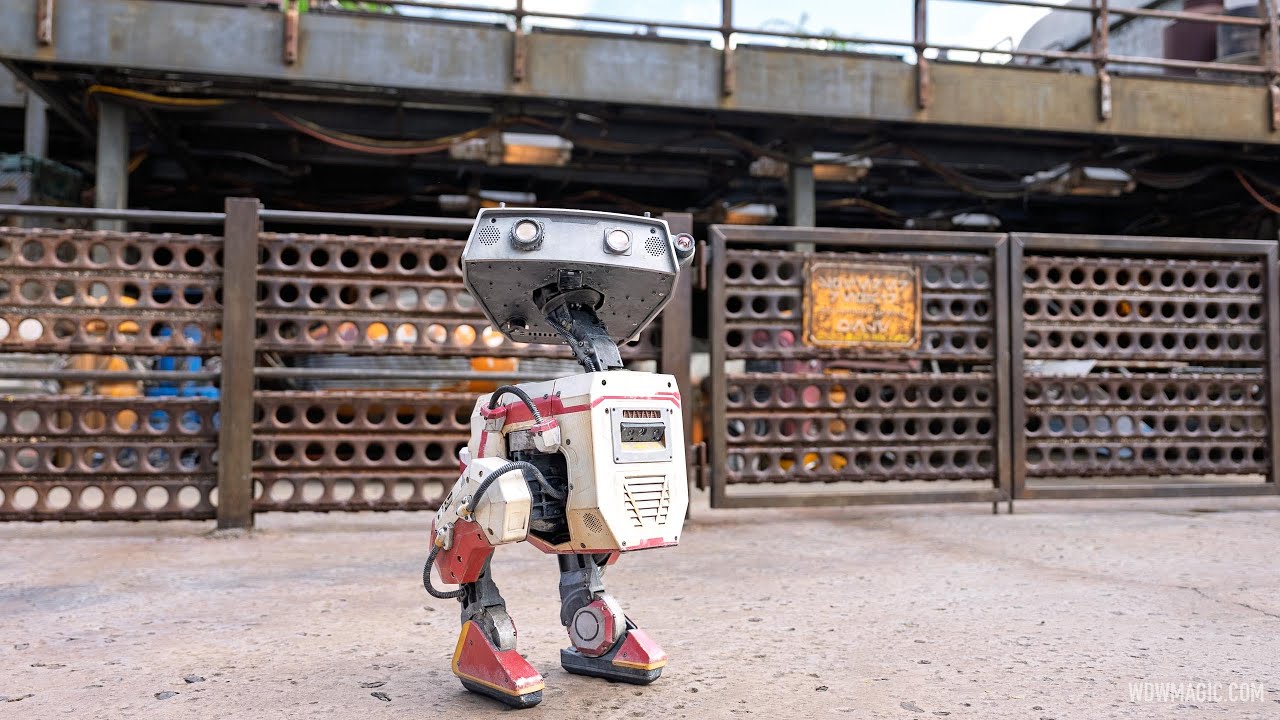 First Star Wars BDX Droid Performance at Walt Disney World - YouTube