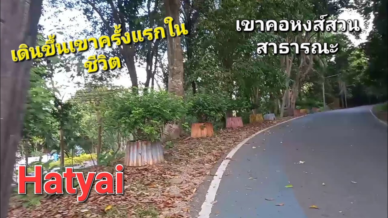 ถ้าไม่แข็งแรงจริงๆ อย่าเดินขึ้นเขาเป็นอันขาด