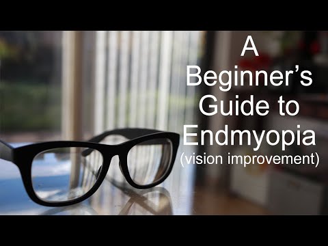 A Beginner&rsquo;s Guide to Endmyopia (vision improvement)