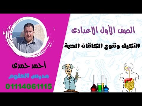 صور المخلوقات الحيه الدقيقة