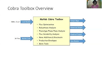 Cobra Toolbox Jhilim Sikder