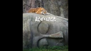 201312 起心动念30548