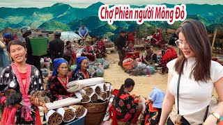 Chợ  phiên trên núi cao của người Mông Đỏ - Chợ  Tủa  Chùa  bán  toàn  đồ  rừng - dược  liệu  quý