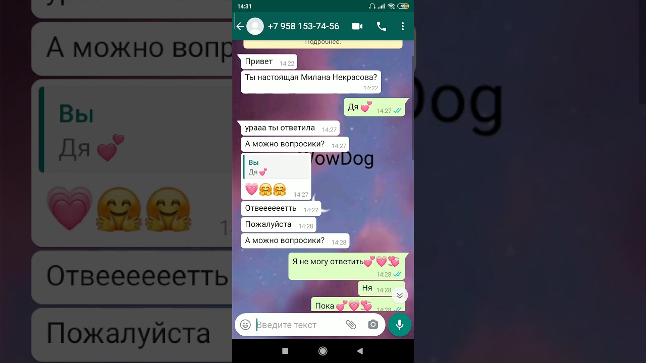 номера блогеров и лайкеров настоящих. номера из лайка. номера лайкеров настоящие. номера популярных лайкеров. настоящее номера лайкеров.