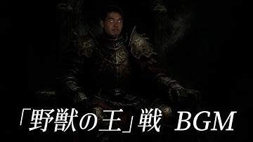 ﾔｼﾞｭｾﾝﾊﾟｲｲｷｽｷﾞﾝｲｸｲｸｱｯｱｯｱｯｱｰﾔﾘﾏｽﾈ（ラスボス）