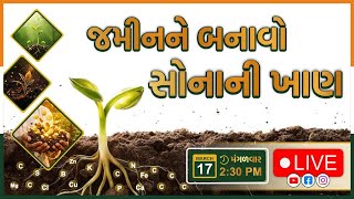 Increase soil fertility and get golden yields