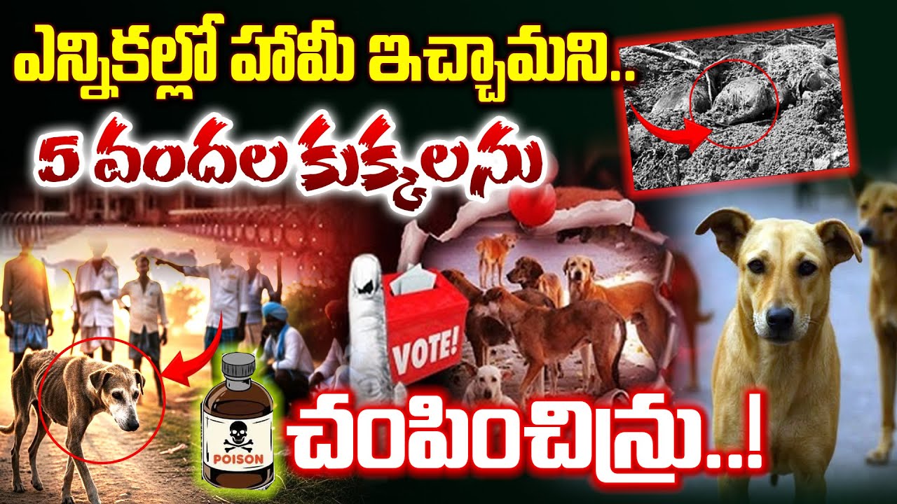 పాల్వంచ మండలంలో ఐదుగురు సర్పంచ్‎ల నిర్వాకం  I Shanarthi Telangana