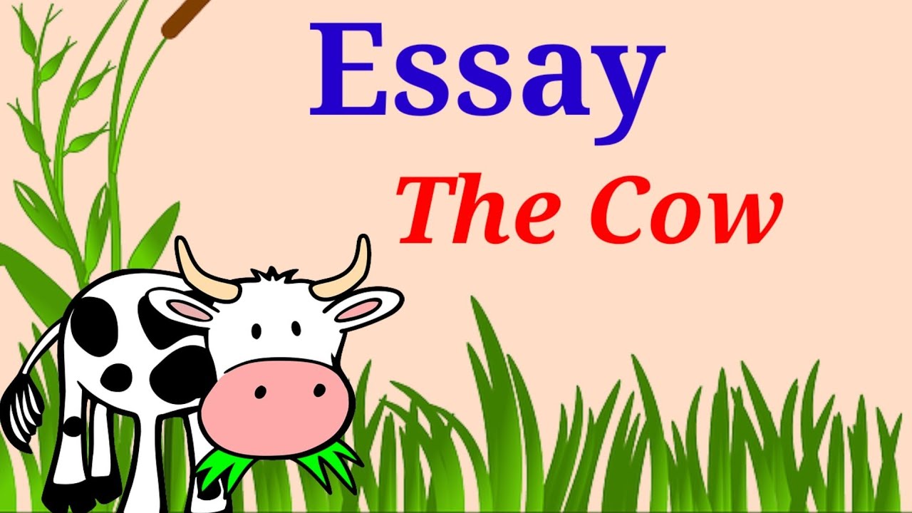 essay on cow for lkg students