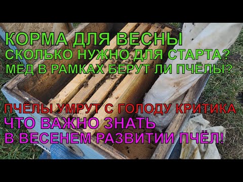 КОРМА ДЛЯ ВЕСЕННЕГО