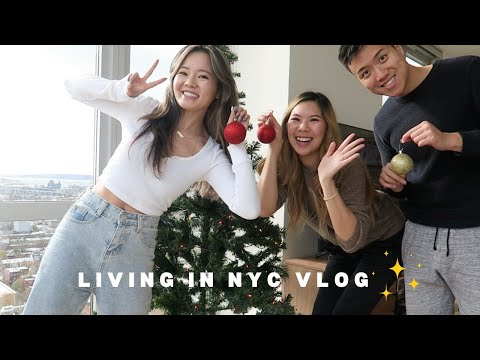 living in nyc | dashi the corgi & building christmas tree with the roomies!